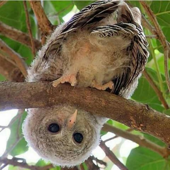 Meet your Posher, Courtney - Picture 1 of 1